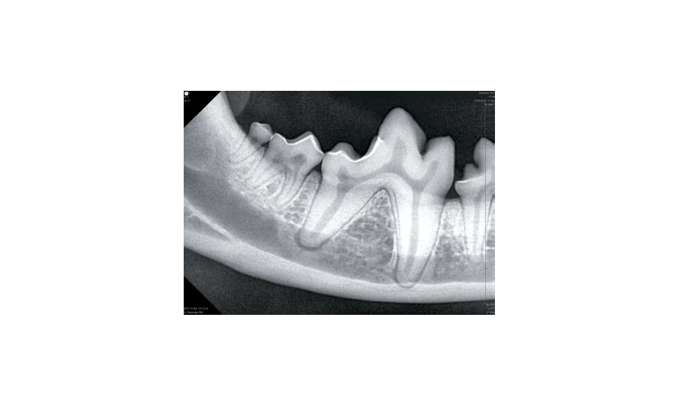 Digital X-Ray Calgary | Medical Imaging Solutions – VUE IT