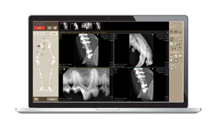 EzSensorVet-072418-4pages_Page_1_Image_0002